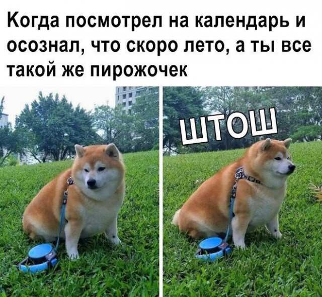 Чуток картинок