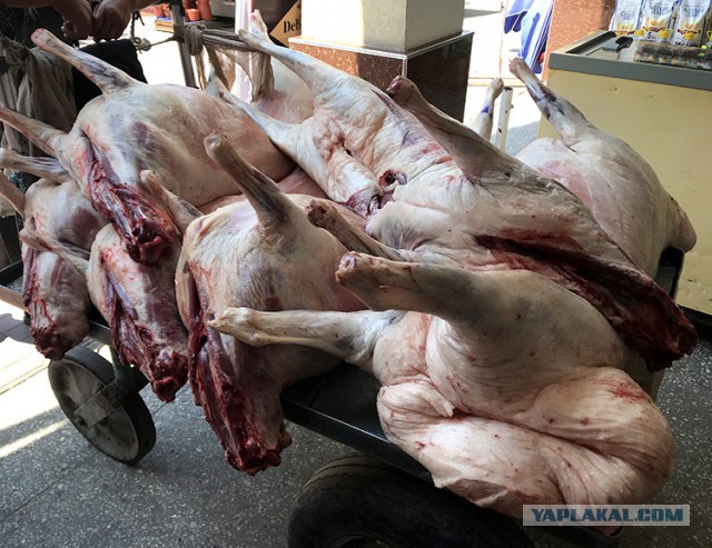 Футбольная казан-самса