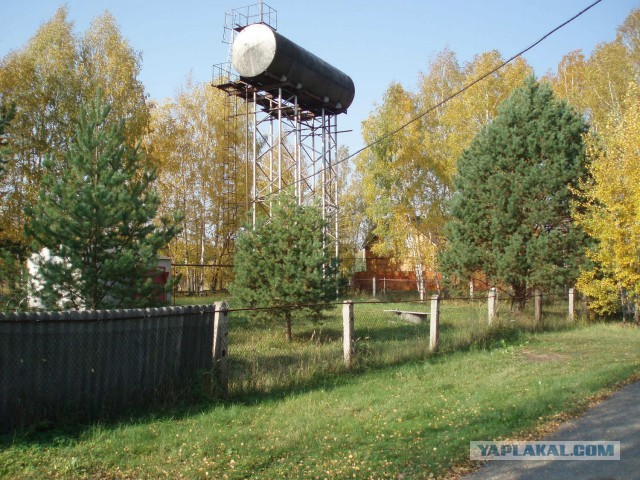 Шах и мат, дачники. Мы вас порвём.