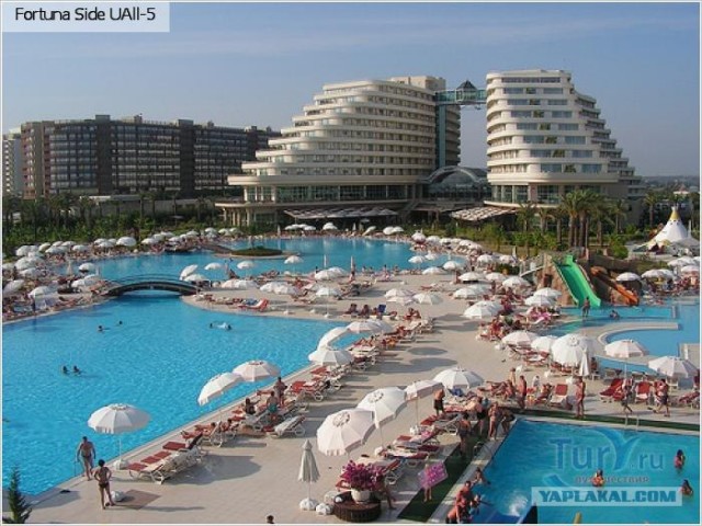 Чеченские школьники проведут каникулы в Анталии