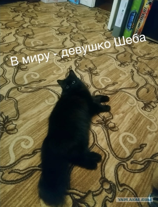 Paзнoвиднocти тьмы