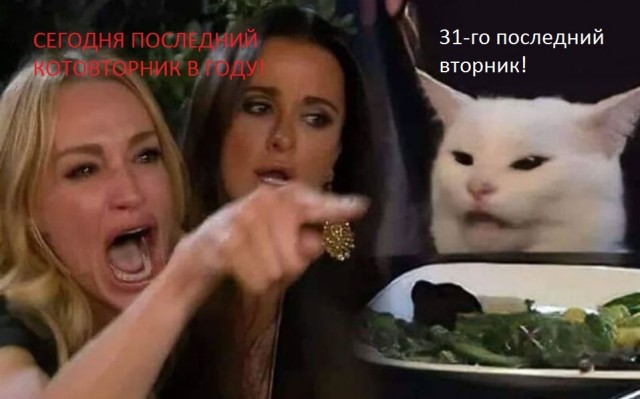 Начнем котоФторник?