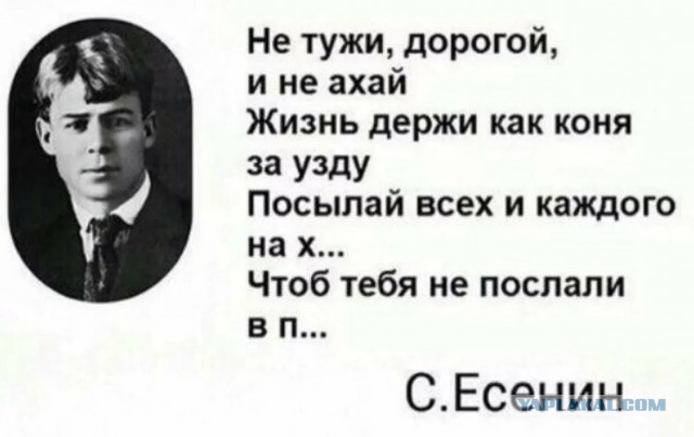 Если черти в душе гнездились, значит ангелы жили в ней… ©