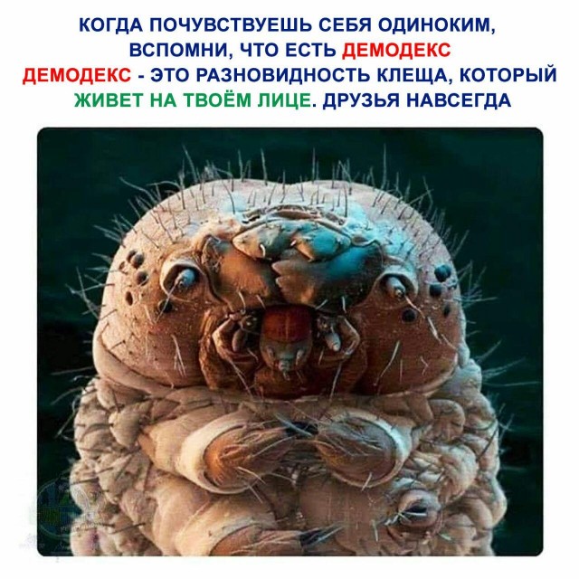 Немного картинок для настроения 27.04.20