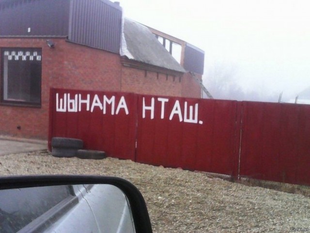 Немного упоротых картинок