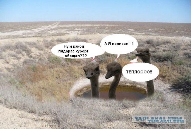 Фотожаба на пятницу