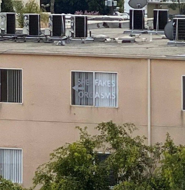 Дурдом