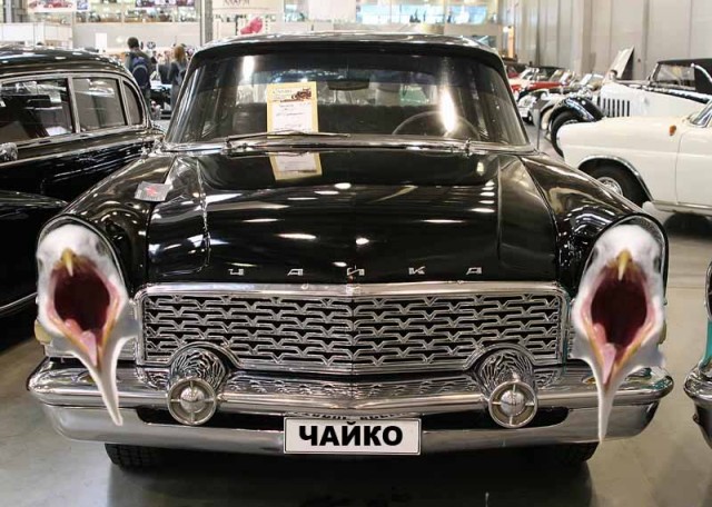 Чайка из Алькатраца