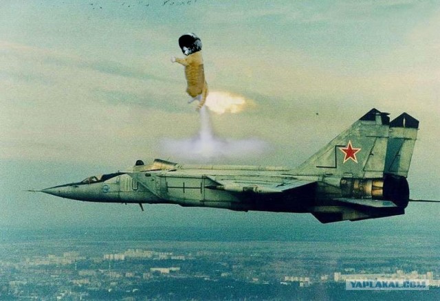 Кот - космонавт