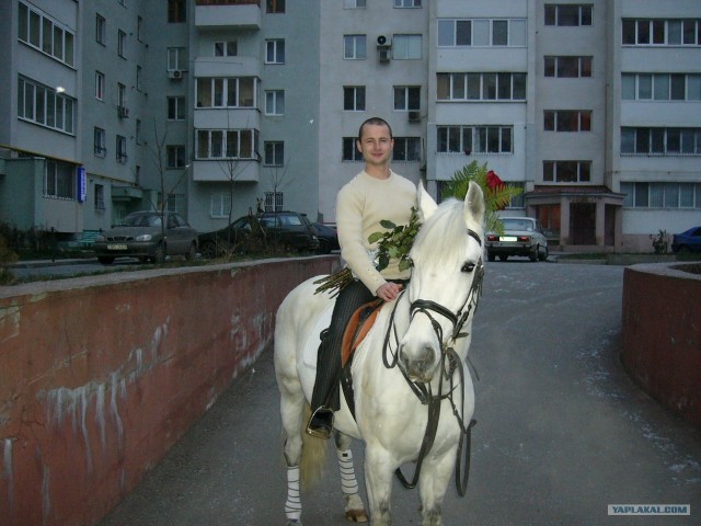 Предложение