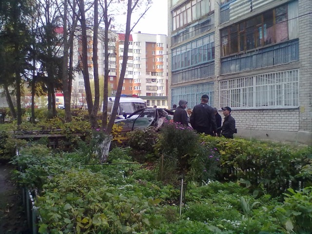 Ауди против столба