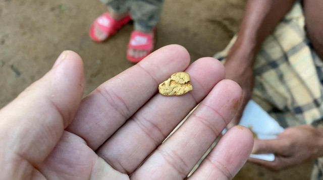 Как добывают золотые самородки в Доминиканских джунглях. Золото здесь лежит буквально под ногами! 3-я часть