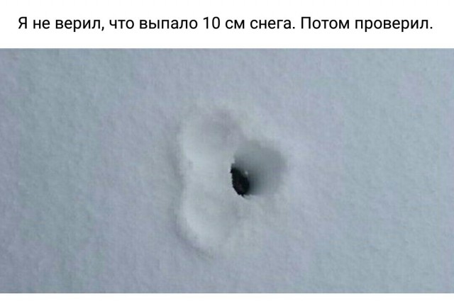 Выпал снег