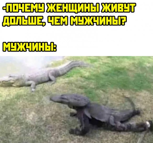 Картинки и мемы для настроения 08.06.2021