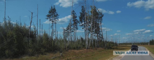 Появились фото якутских лесов с высоты, а точнее того, что от них осталось