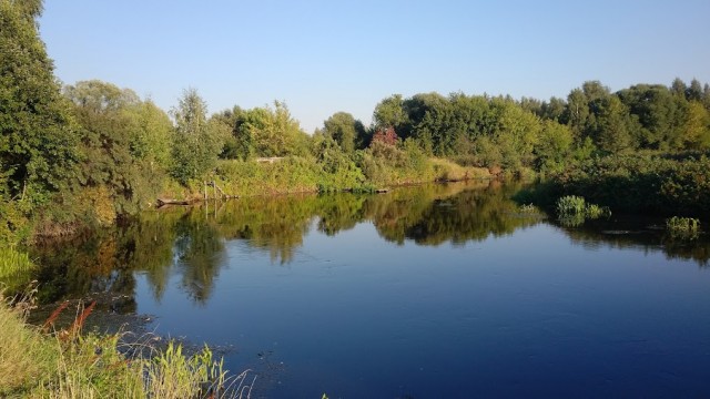 Моя мобильная фотография