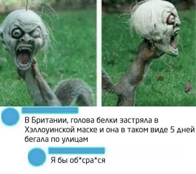 Картинки из рабочего чата 13.11.21
