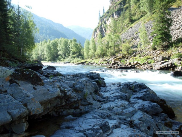 В ноябре на Алтае 2010г.