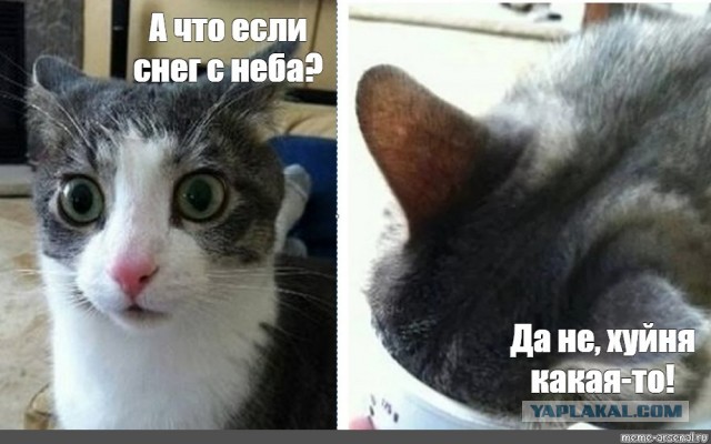 Утренний поход за едой в Харькове