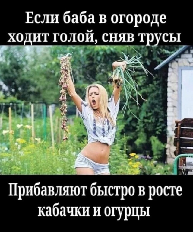 Так себе картинки 06.07.22
