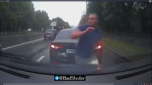 Борзый