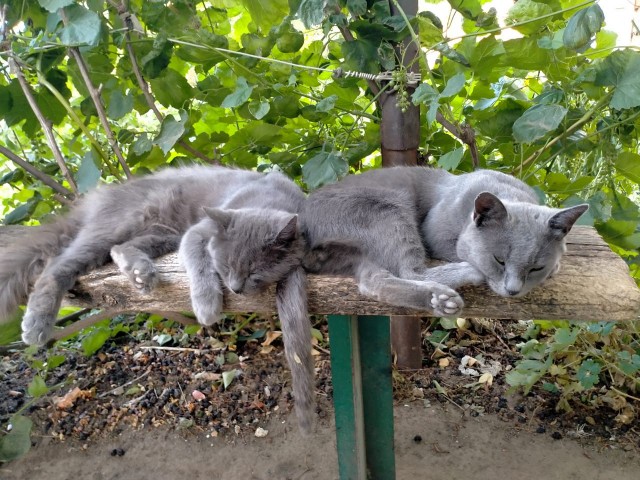 Как я стал рабом дважды