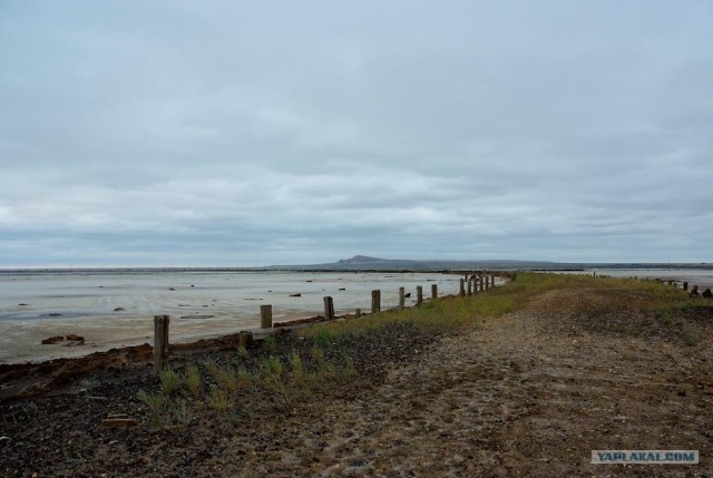 Вот в чем вся соль!