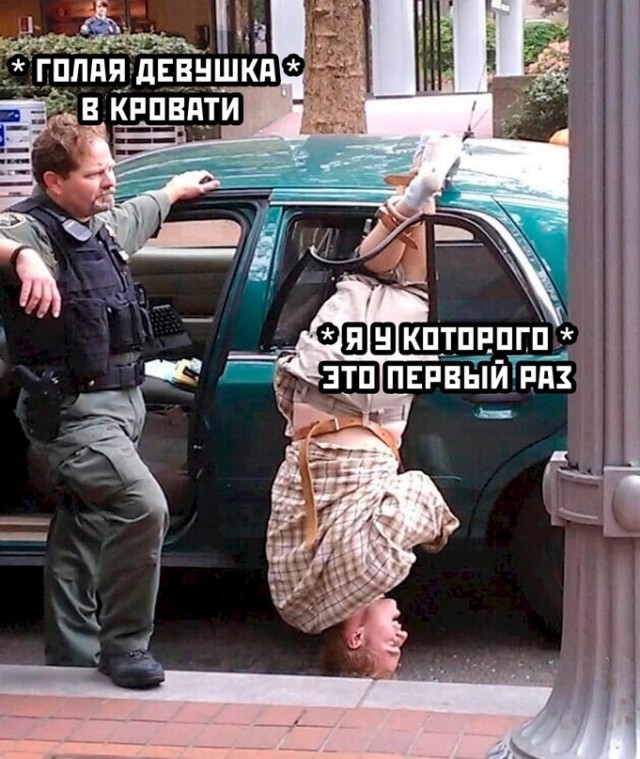 Весёлый полтишок 02.11.22