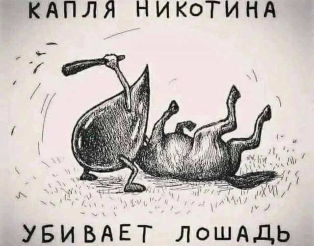 Нуштош 04.02.2023