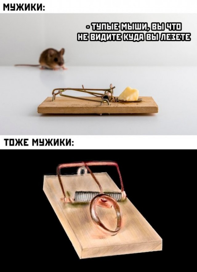 Картинки и мемы, всем хороших выходных