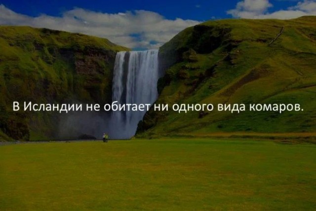 Всем хороших выходных - картинки, мемы и т.п.