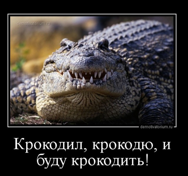 Безумные рефлексы антилопы