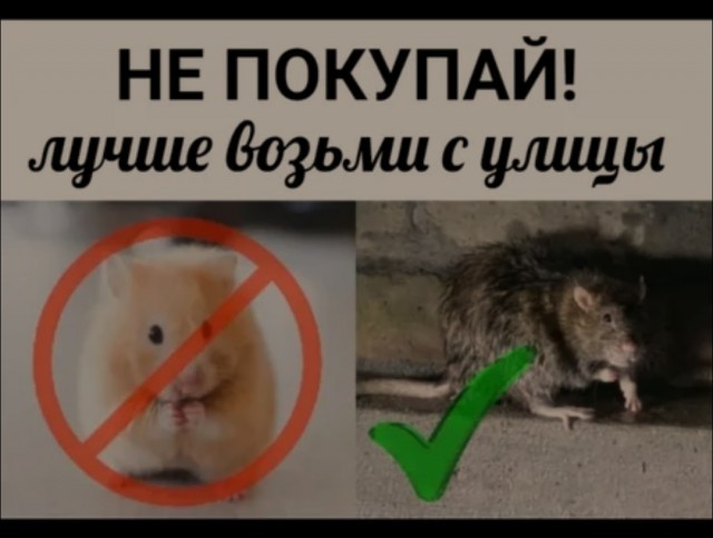 Окружен, но не сломлен