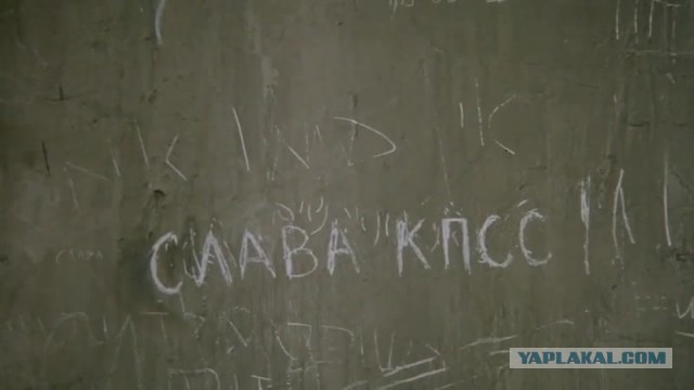 Рубашка мира.