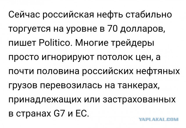 Так в ОАЭ встречают российскую делегацию