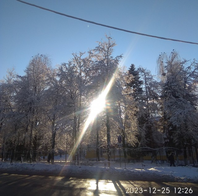 Зимняя красота