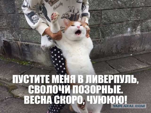 Девчата с улиц ночного Ливерпуля