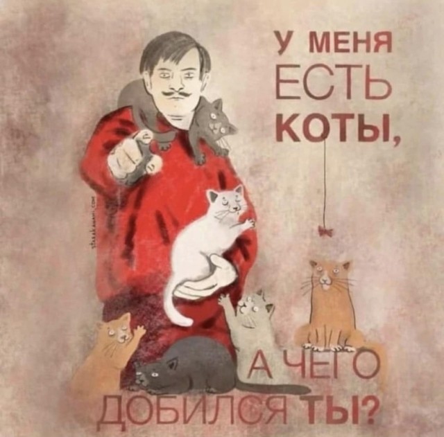 Все собаки дураки!