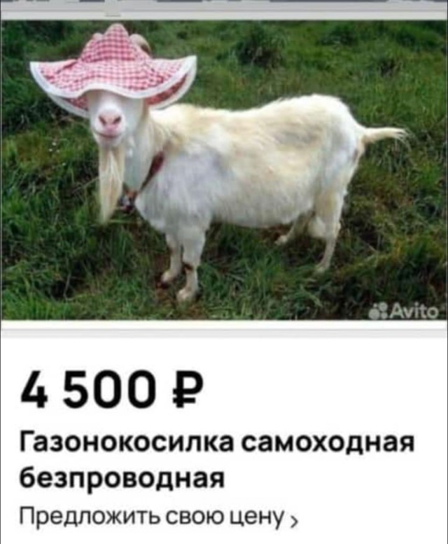 Газонокосилки