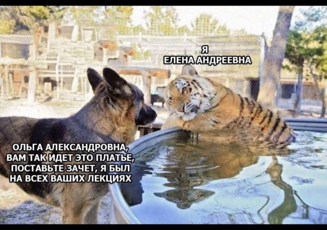 Хитрый способ сдать экзамен...