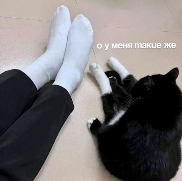 Завалялось тут случайно немного забавных картинок