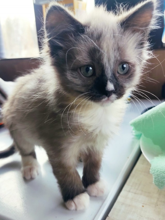 Растет Маша