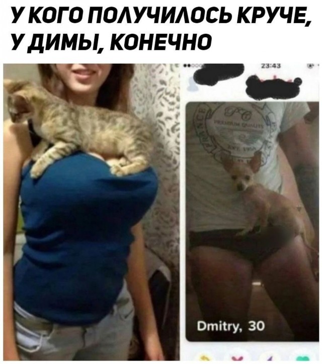 Так себе картинки 08.11.24