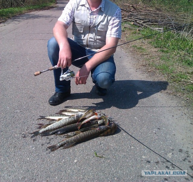 Рыбалка в ближайшем подмосковье