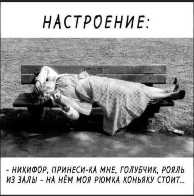 Прикольные и просто красивые картинки 06.12.2024