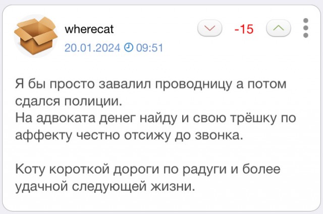 Проводница из Екатеринбурга оказалась невиновна в нашумевшей гибели кота Твикса, которая потрясла всех россиян, выброшенного из поезда
