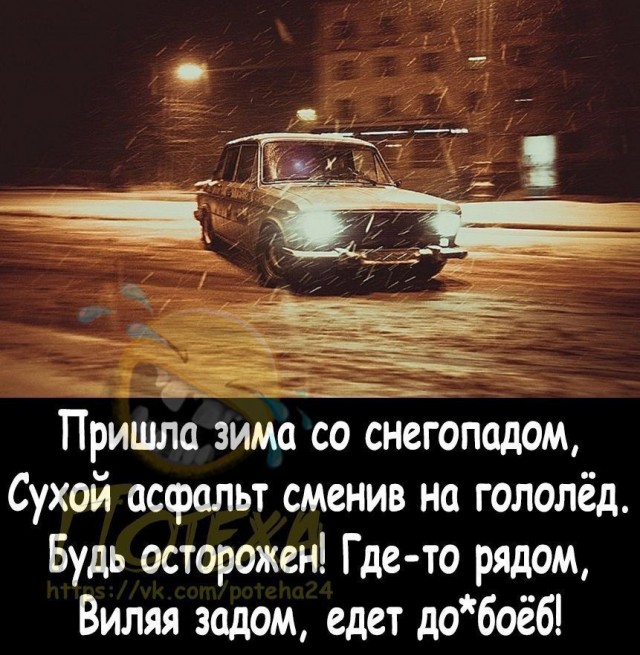 Немного забавных картинок от 22.12.24