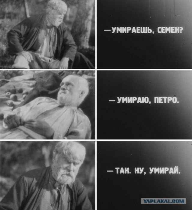Вся боль последних дней в одном фото.