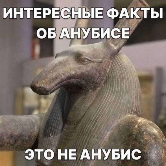 - Галя, у нас гангрена