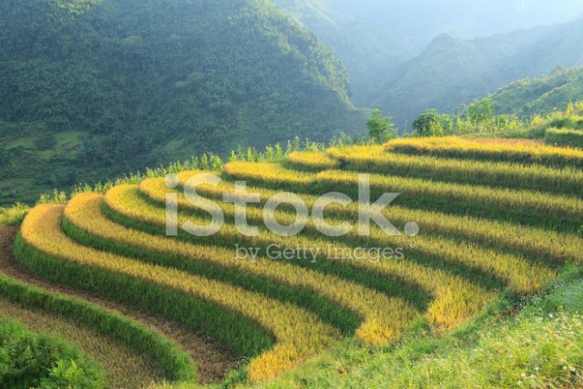 Бутан, таинственный Бутан